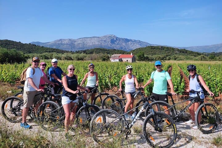 Korcula Bike & Wine Tour | Wine Tasting in Lumbarda