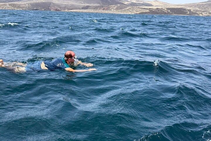 Lake Assal and Whale Shark Full Day Combo Tour in Djibouti