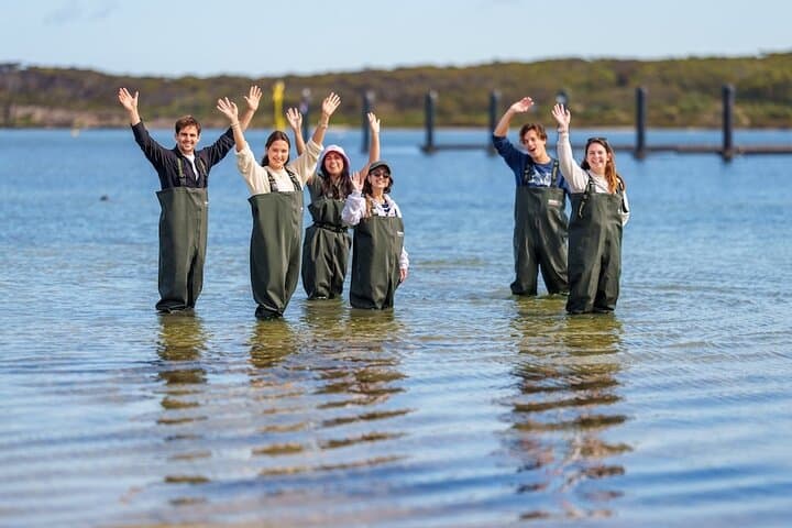 Coffin Bay Oyster Farm Wading Tour & Tasting Experience