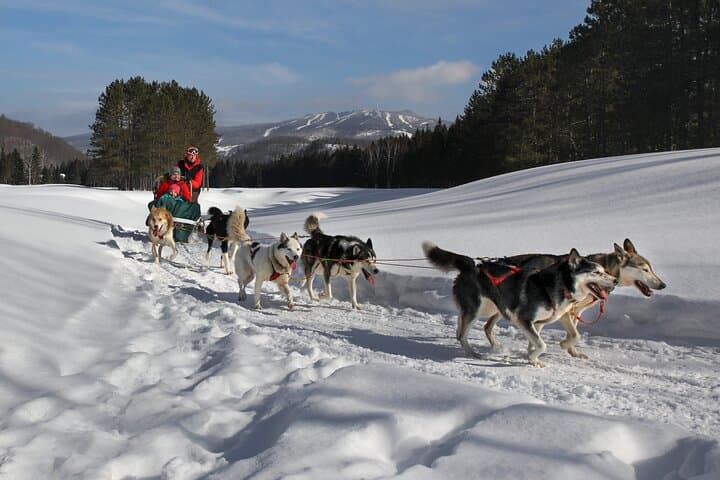Dogsled Diable Adventure in Mont-Tremblant
