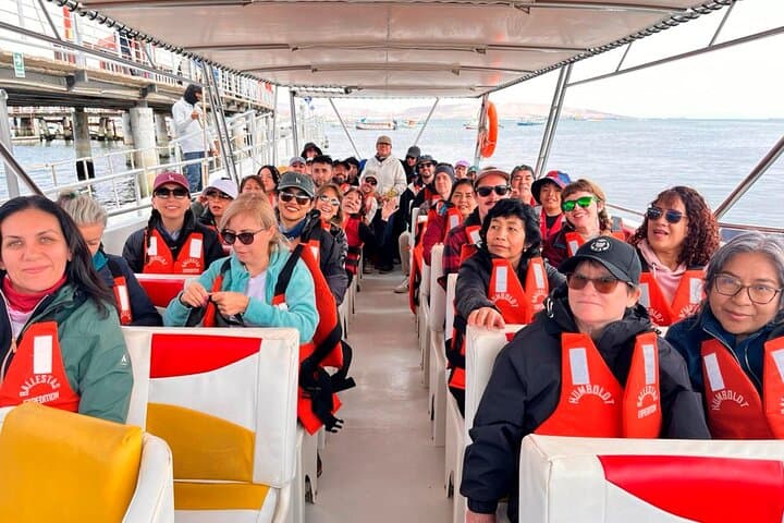 Paracas, Ballestas Islands and Huacachina Guided Tour