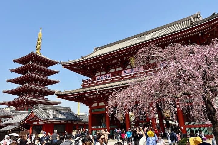 Tokyo Private Half-Day Highlights Tour by Car with Guide