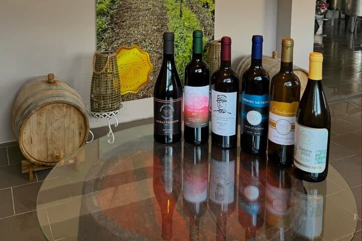 Wine Tasting Winery Kantina Vreshti I Pashait-Permet