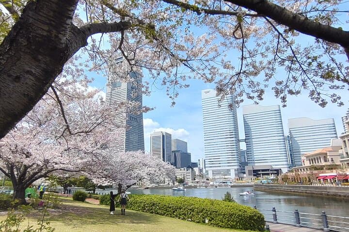 טיול פרטי ביוקוהמה