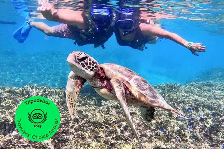Okinawa Miyakojima 1 day Sea Turtle Snorkeling & Pumpkin Cave & Sea Kayak