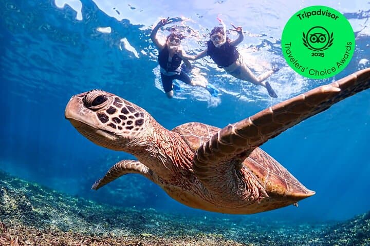 אוקינאווה מיאקו 3סט חוף סאפ, שנורקלינג, מערת דלעת, קיאקים