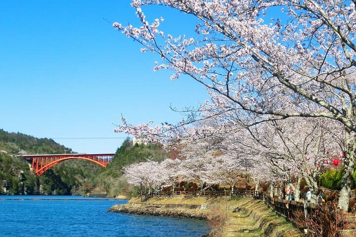 מנאגויה: סיור יום לאיוהוג'י, אנאקיו, מגומה-ג'וקו וצומגו-ג'וקו