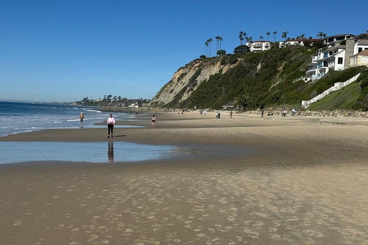 Guided Coastal Hike and Ecology Tour in Dana Point