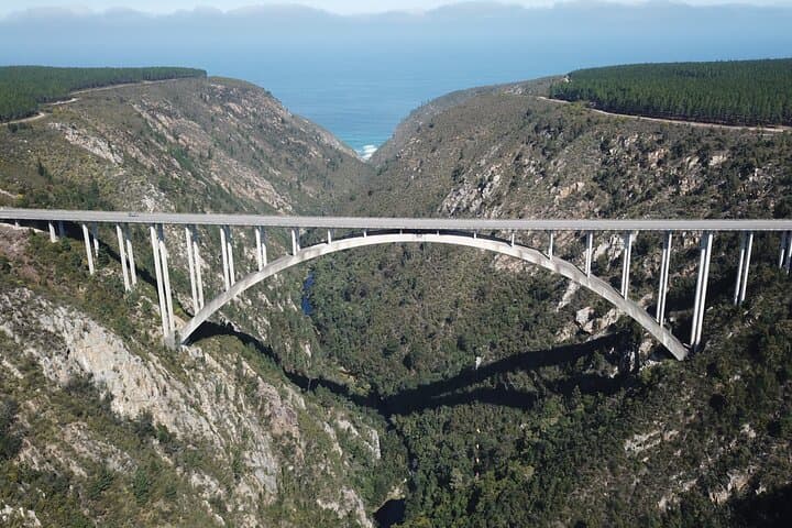  Bloukrans Skywalk Tour