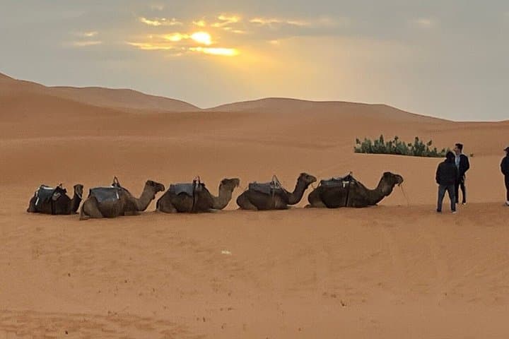 Overnight in Merzouga with unforgettable Sunset & Camel/Quad ride