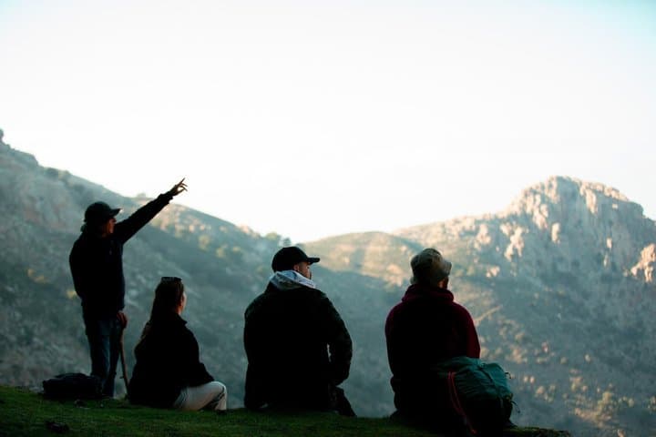 Randi's Forrest & Seychelles