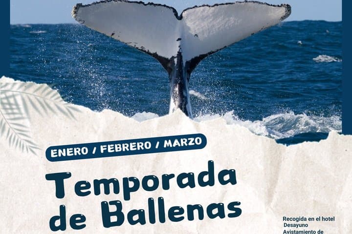 Samana whales season Key Levantado Limon Waterfall Horse