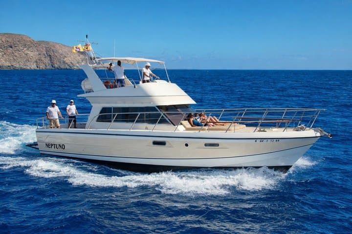 Discover whales in Tenerife: yacht tour with bath and lunch