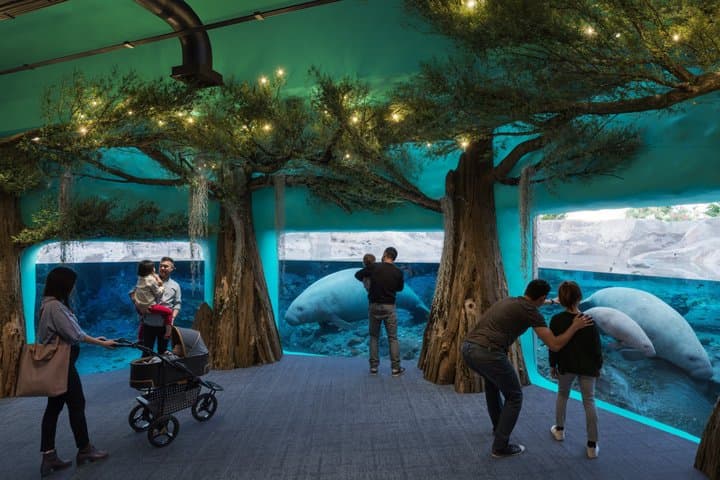 כרטיס כניסה לזו טמפה בפארק לורי