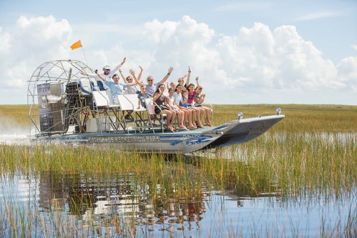 From Miami: Everglades Airboat, Wildlife Zoo, and Roundtrip Bus