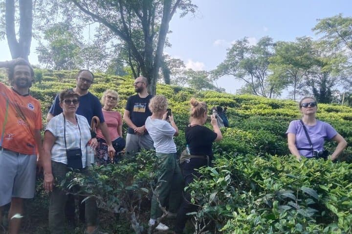 Amchong Tea Estate + Factory Visit 