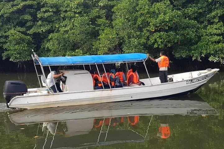 JungleWalla Desaru Coast Day River Cruise