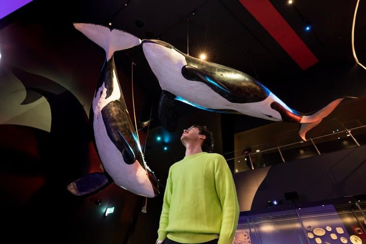 National Museum of Australia Daily Tours