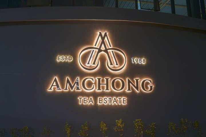 Guwahati Tea Garden Tour with Lunch & Hi Tea (Premium Experience)