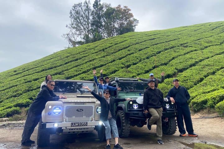 חוויה מלאה ביער ממוזג