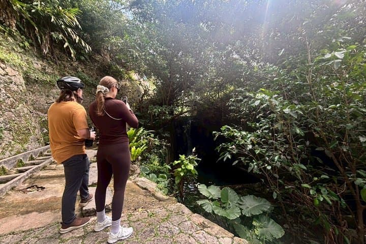 E-Bike Nature Tour in Shuri【Free cancellation]