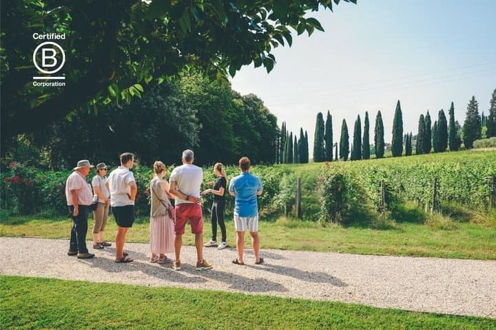 Amarone Wine-tasting Tour from Verona with Private Transportation