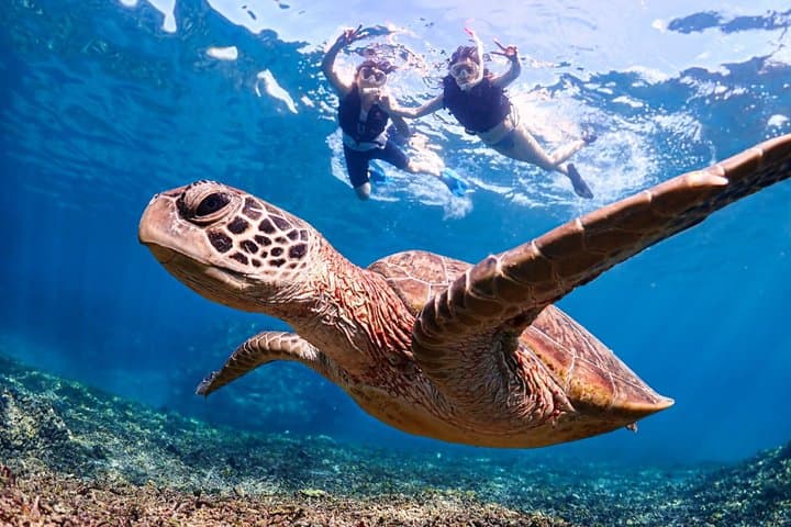 אוקינאווה מיאקו 3סט חוף סאפ, שנורקלינג, מערת דלעת, קיאקים