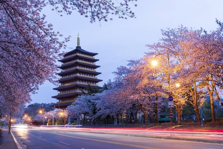 Gyeongju's Top Attractions on Private Tour with a Licensed guide