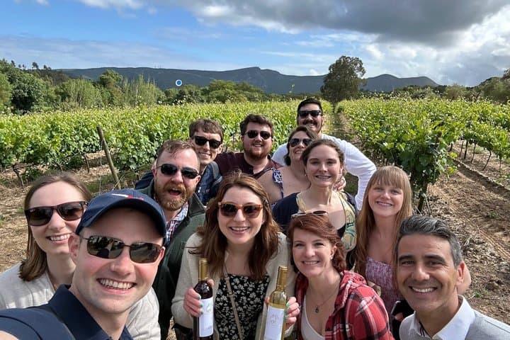 Private Full-Day Wine Tour from Lisbon with Tastings to Arrábida