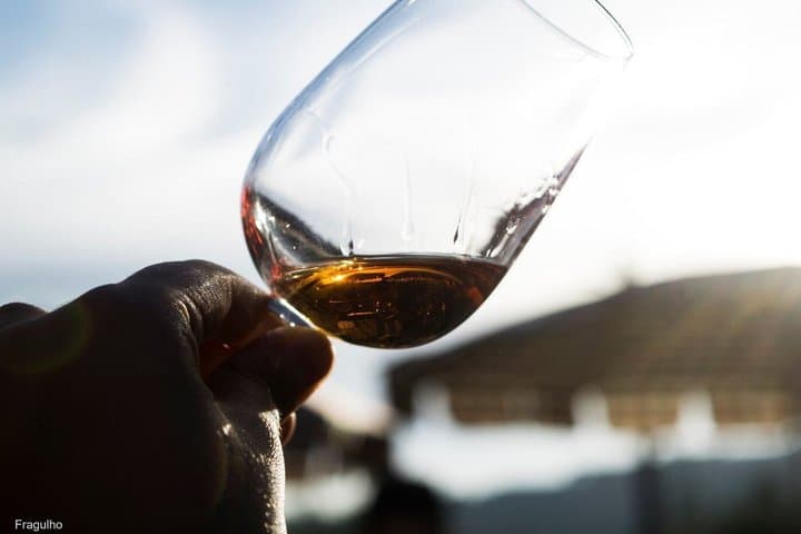 Douro Valley Private Wine Tour (with the producers)