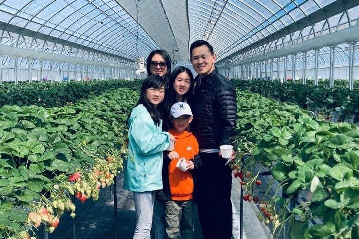 All You Can Eat Strawberry Picking in Izumisano Osaka