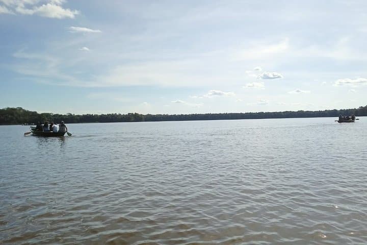 4 Day Tambopata Amazon Wildlife & Canopy Experience