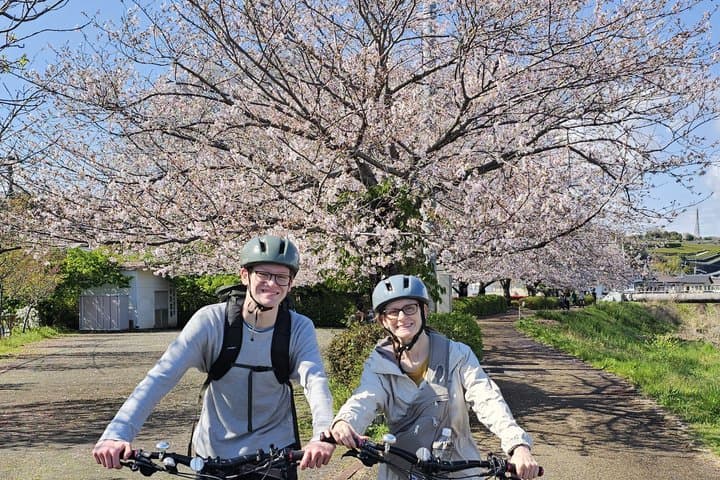 Fuji City: Mount Fuji Scenic E-Bike Tour