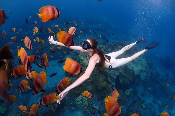 Bali Blue Lagoon Snorkeling with Private Transfer & Lunch