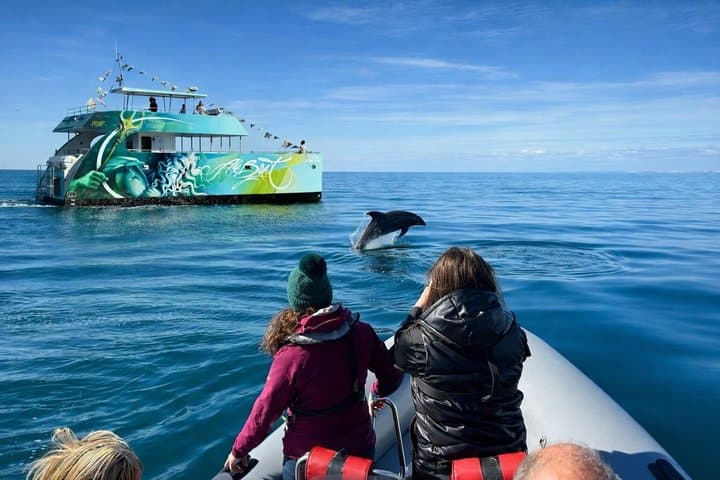 דולפינים חיפוש ומערות בנגיל מאלבופיירה