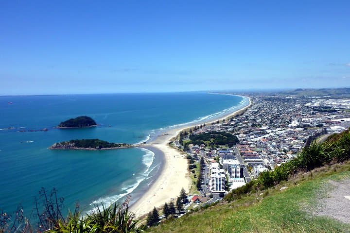 Tauranga Shore Excursion: History & Kiwifruit Tasting – 4 Hours