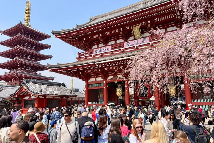 Tokyo Private Half-Day Highlights Tour by Car with Guide