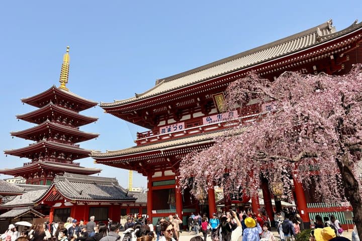 Tokyo Private Half-Day Highlights Tour by Car with Guide