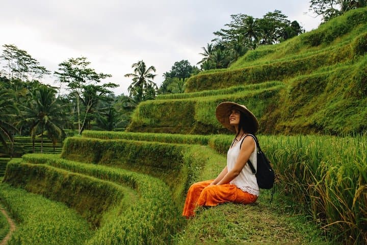 Best of Ubud in One - Day Private Guide Tour and All-Inclusive