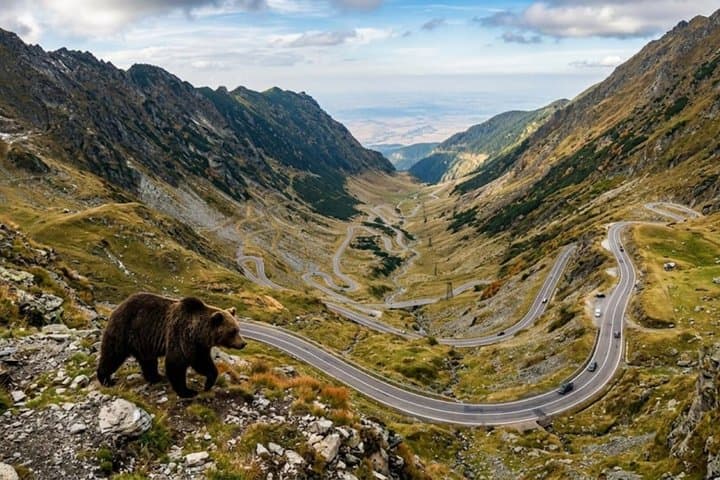 Small-group & Pickup, Top Gear Road -Transfăgărăşan
