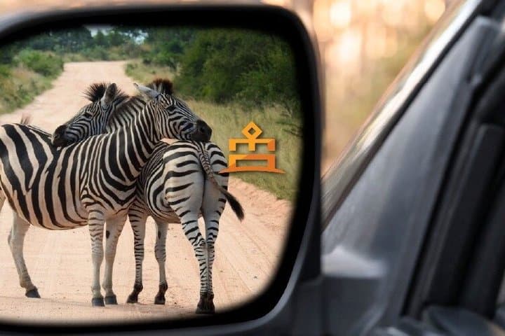 חווית פילנסברג ליום מלא ברכב פתוח.