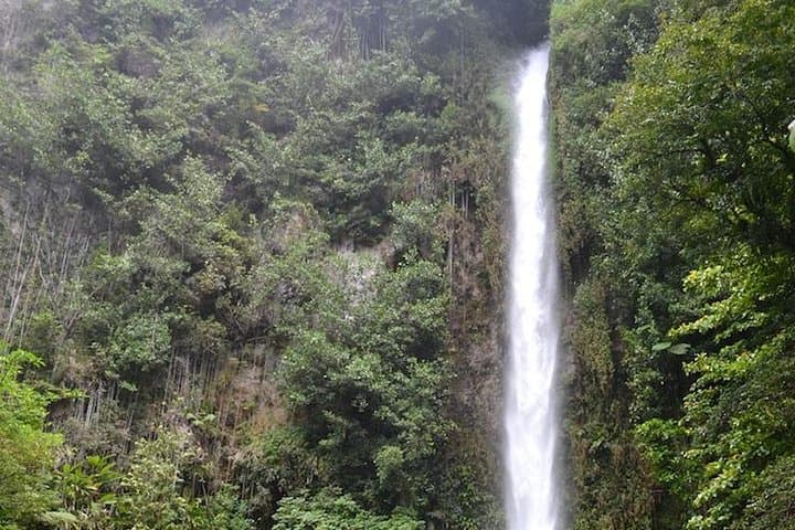 Middleham Falls Hike and Ti'tou Gorge Half-Day Excursion