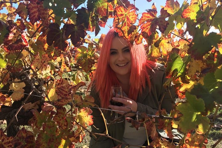 חווית היקבים בעמק סואן - סיור מאמן יום מלא