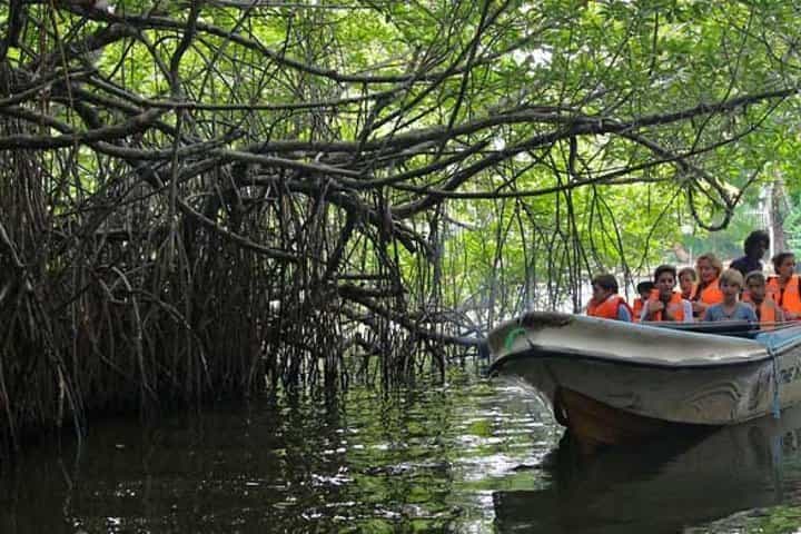 רכב פרטי עם נהג-מדריך لأي טיול יום בסרי לנקה