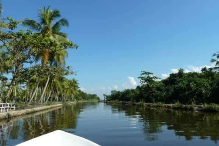 Exclusive: Muthurajawela Bird Watching Tour with Transfers