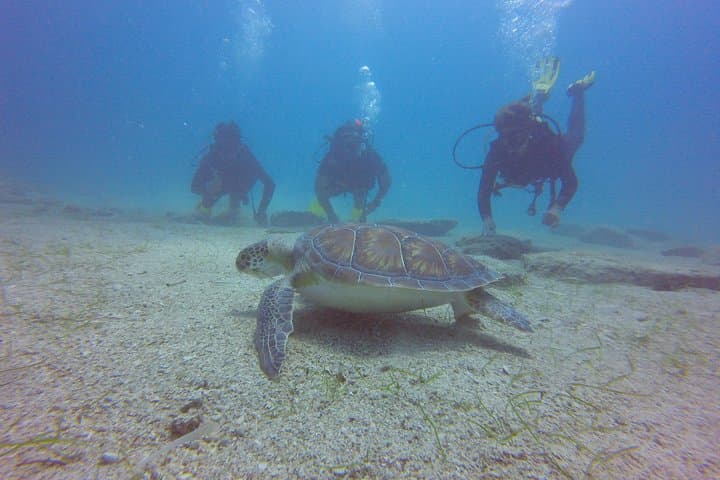 גלו צלילה עם בלון