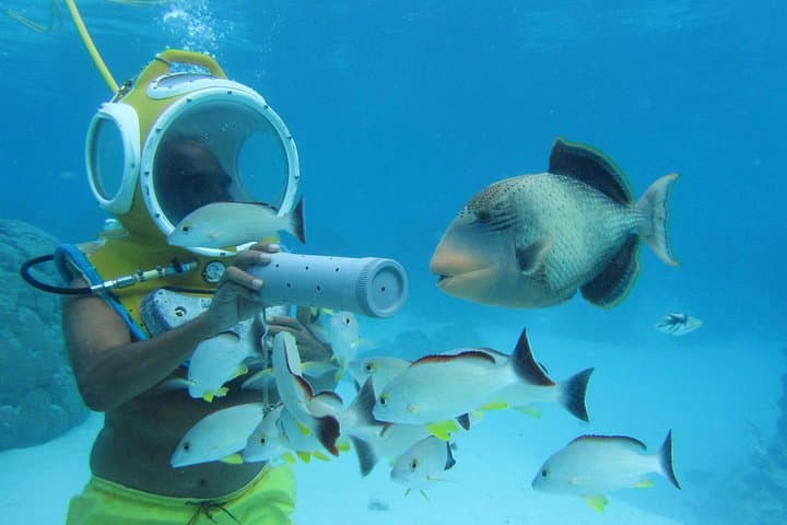 אקוואבלו מוריאה