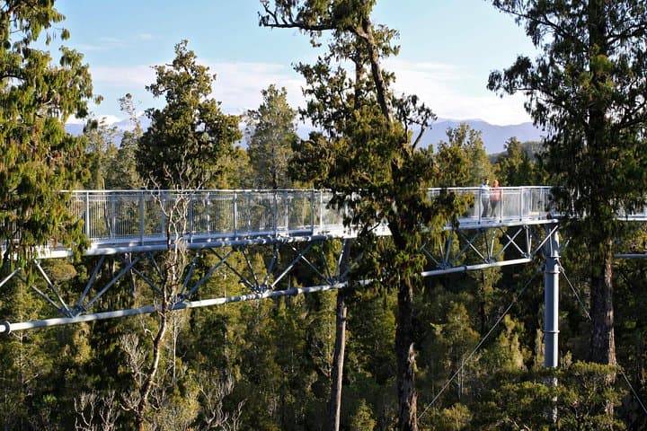 West Coast Treetop Walk