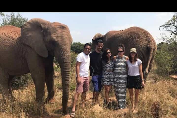 Elephant Walk Guided Tour from Johannesburg