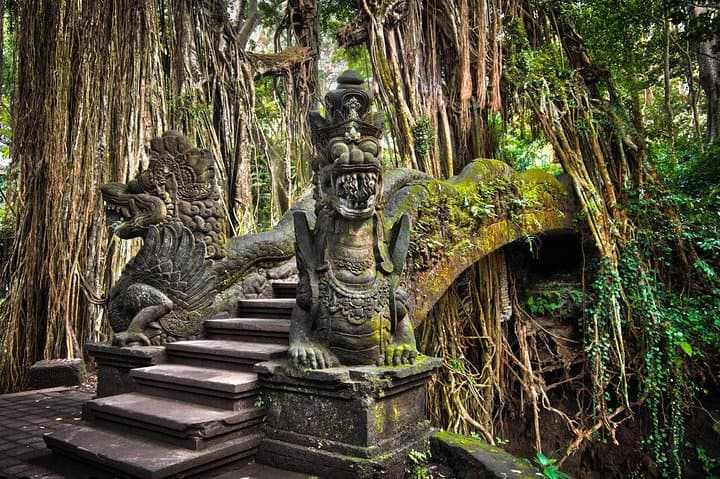 All-Inclusive Ubud Private Tour with Hotel Transfer
